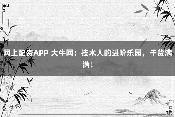 网上配资APP 大牛网：技术人的进阶乐园，干货满满！