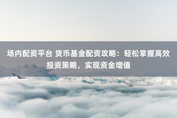 场内配资平台 货币基金配资攻略：轻松掌握高效投资策略，实现资金增值