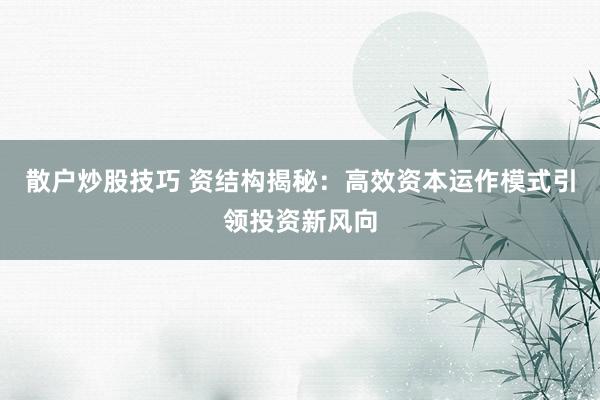散户炒股技巧 资结构揭秘：高效资本运作模式引领投资新风向