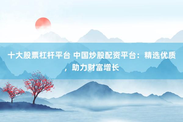 十大股票杠杆平台 中国炒股配资平台：精选优质，助力财富增长