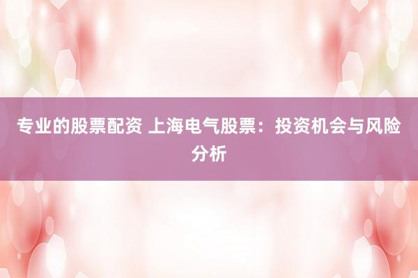 专业的股票配资 上海电气股票：投资机会与风险分析