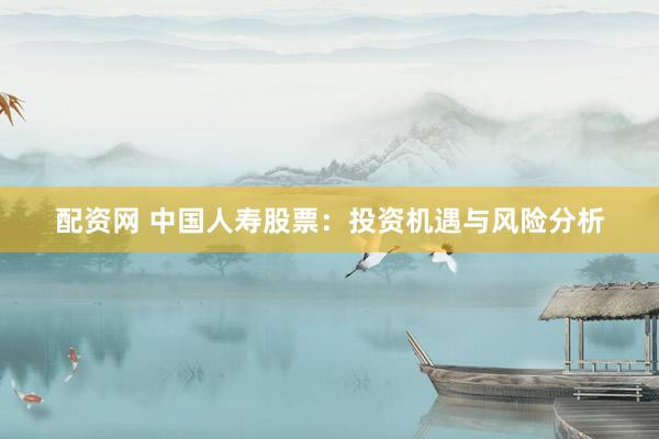 配资网 中国人寿股票：投资机遇与风险分析