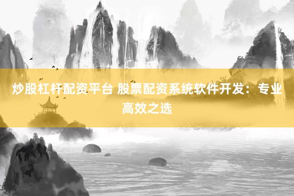 炒股杠杆配资平台 股票配资系统软件开发：专业高效之选