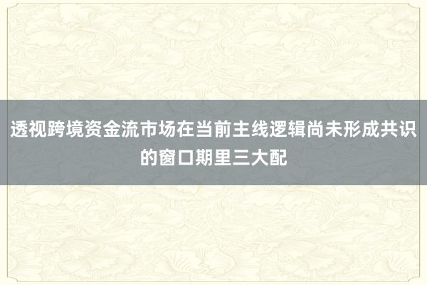 透视跨境资金流市场在当前主线逻辑尚未形成共识的窗口期里三大配