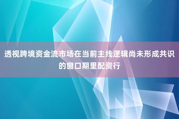 透视跨境资金流市场在当前主线逻辑尚未形成共识的窗口期里配资行