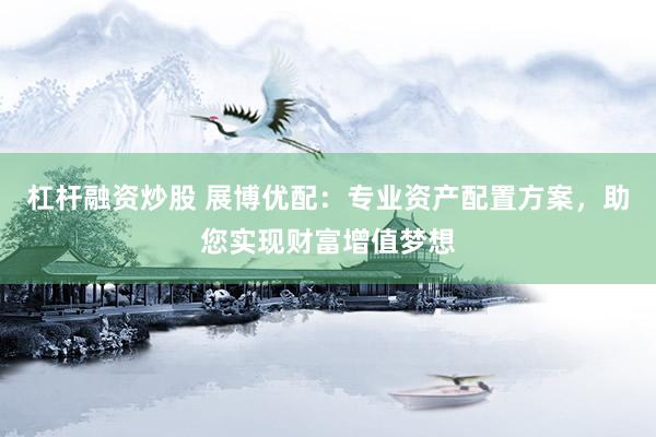 杠杆融资炒股 展博优配：专业资产配置方案，助您实现财富增值梦想