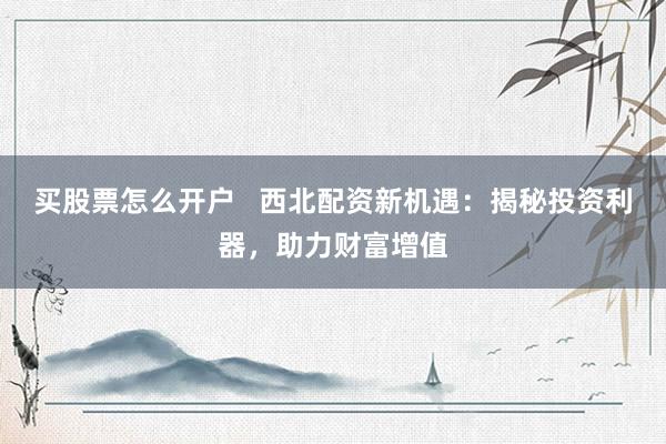 买股票怎么开户   西北配资新机遇：揭秘投资利器，助力财富增值