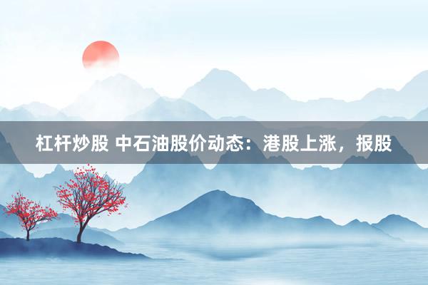 杠杆炒股 中石油股价动态：港股上涨，报股