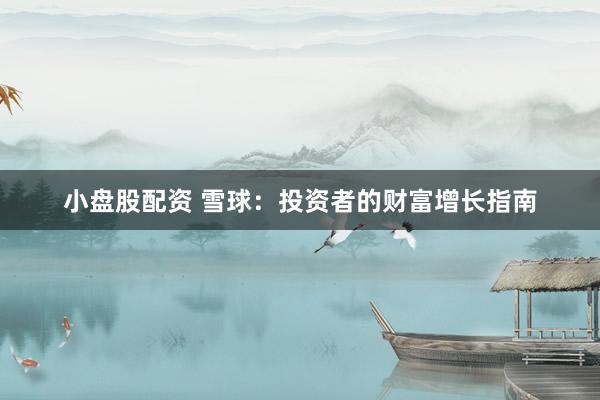 小盘股配资 雪球:投资者的财富增长指南